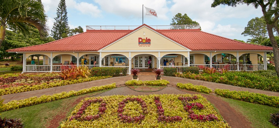 Dole Plantation