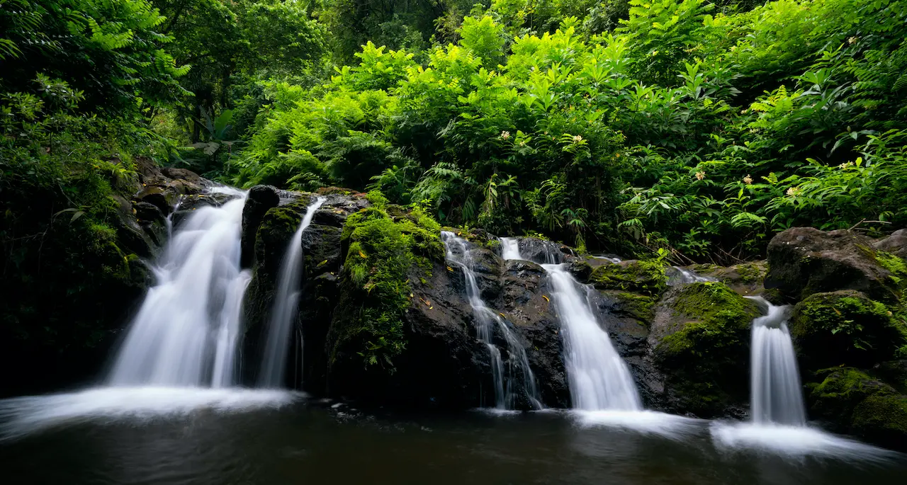 Maui